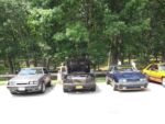 Fox-a-Que2010042.jpg