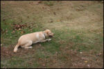 IMG_7187.jpg