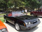 Fox-a-Que2010025.jpg