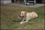 IMG_7293.jpg