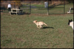 IMG_2997.jpg
