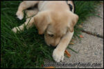 IMG_1464.jpg