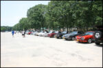 IMG_2911.jpg