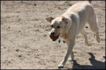 IMG_8016.jpg