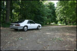 1986-mustang-svo-img_8551.jpg