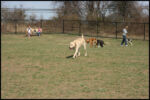 IMG_3844.jpg