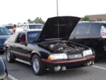 Fox-a-Que2010067.jpg