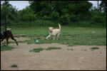 IMG_4647.jpg