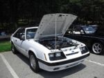 Fox-a-Que2010020.jpg