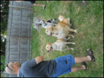 DSCN2362.jpg