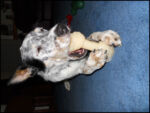 DSCN2525.jpg