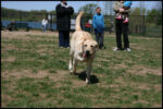 IMG_4399.jpg