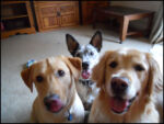 DSCN2474.jpg