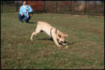 IMG_2668.jpg