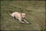 IMG_7262.jpg