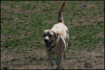 IMG_7997.jpg