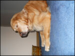 DSCN2527.jpg
