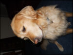 DSCN2528.jpg
