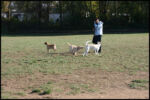 IMG_2593.jpg