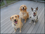 DSCN2492.jpg