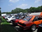 Fox-a-Que2010047.jpg