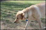 IMG_3733.jpg