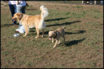 IMG_2789.jpg