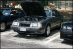 IMG_2929.jpg
