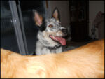 DSCN2440.jpg