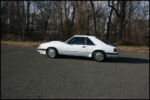 1986MustangSVO-IMG_0384.jpg