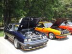 Fox-a-Que2010017.jpg