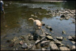 IMG_5167.jpg