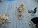 DSCN2472.jpg