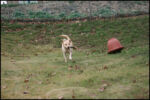 IMG_7317.jpg