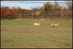 IMG_2990.jpg
