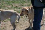 IMG_7947.jpg