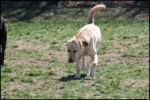 IMG_7995.jpg