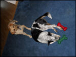 DSCN2516.jpg