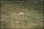 IMG_7323.jpg