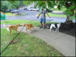 DSCN2467.jpg