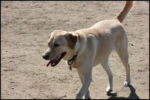 IMG_7964.jpg