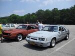 Fox-a-Que2010037.jpg