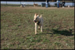 IMG_2963.jpg