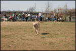 IMG_3839.jpg