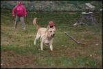 IMG_7172.jpg