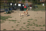 IMG_2673.jpg