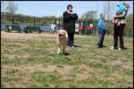IMG_4397.jpg