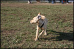 IMG_2964.jpg