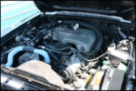 Misc Pics
