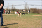 IMG_3853.jpg